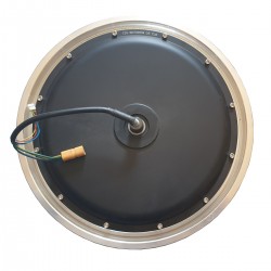 Inmotion V10 motor